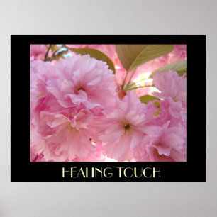 Poster Fleurs roses du printemps 13 DSC04353, HEALIN...