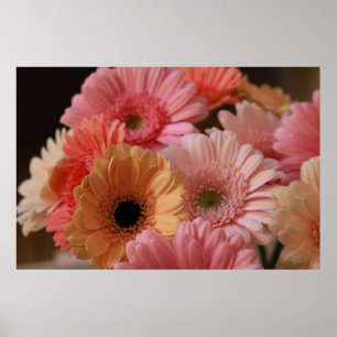 POSTER FLEURS ROSES ET JAUNES EN PHOTOGRAPHIE DE FERMETUR