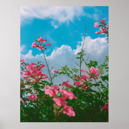 Poster Fleurs roses sous ciel bleu avec nuages - Nature