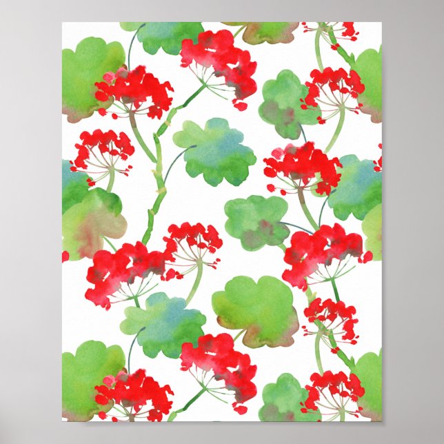Poster Fleurs rouges (Pelargonium) (Devant)