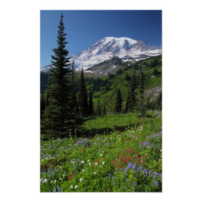 Poster Fleurs sauvages au Mont Rainier (Devant)