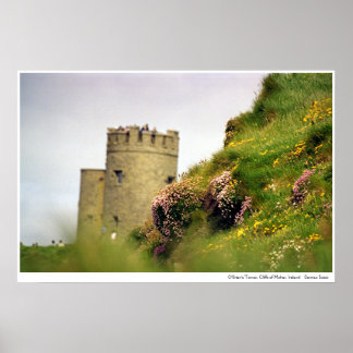 Poster Fleurs sauvages aux falaises de Moher, Irlande