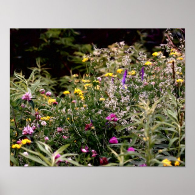 Poster Fleurs sauvages Dans La Peinture À L'Huile De Phot (Devant)