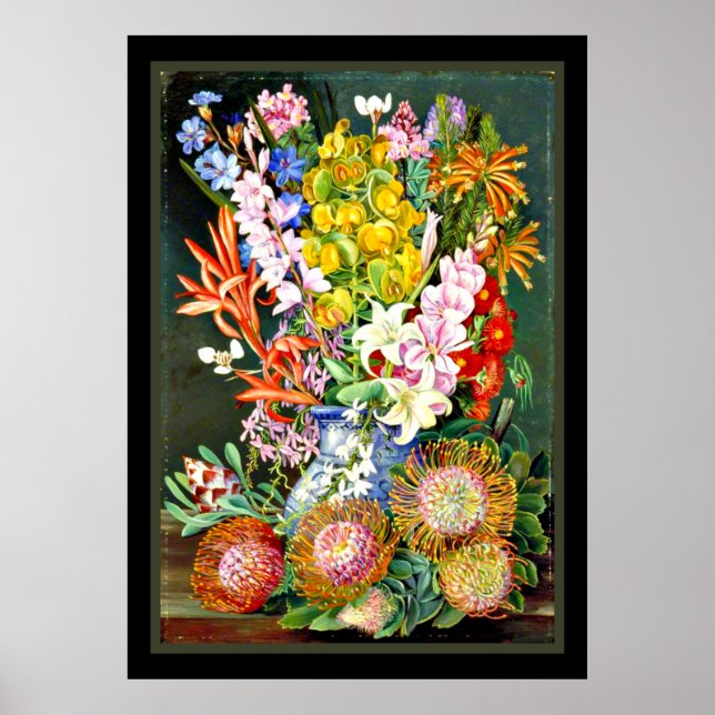 Poster Fleurs sauvages de Ceres, Afrique du Sud (Devant)