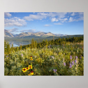Poster Fleurs sauvages de la prairie et lac Lower Two Med