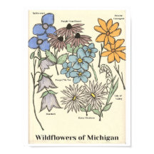 Fleurs sauvages de Michigan Main Drag Art Imprimer