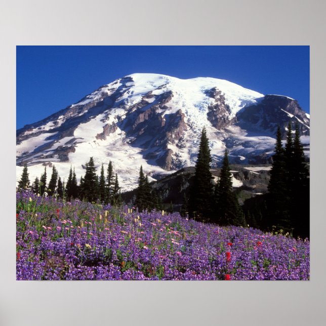 Poster fleurs sauvages d'été à la base du Mont Rainier, 2 (Devant)