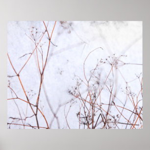 Poster Fleurs sauvages d'hiver Abstraits modernes en neig