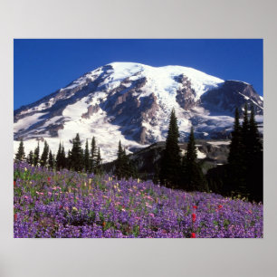Poster fleurs sauvages estivales au pied du mont Rainier,