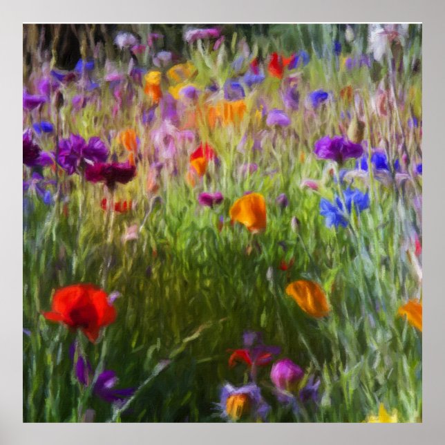 Poster Fleurs Sauvages, Fleurs De Cornouailles Et Poppies (Devant)