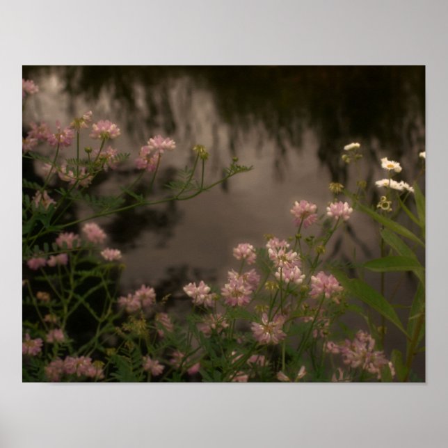 Poster Fleurs sauvages roses par Stream Photo Art (Devant)