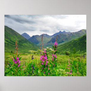 Poster Fleurs sauvages Vallée d'Alaska