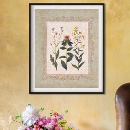 Poster Fleurs sauvages vintages Botanique antique