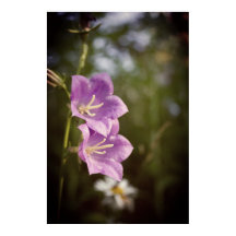 Fleurs Sombres Romantiques – Fantaisie Botanique B