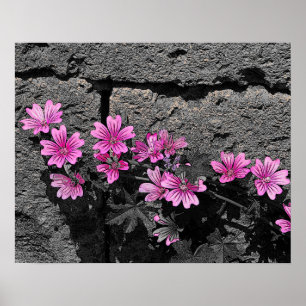 Poster Fleurs violettes