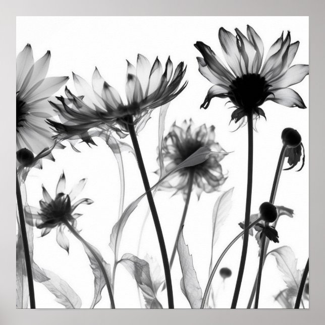 Poster Fleurs X-Ray noir et blanc (Devant)