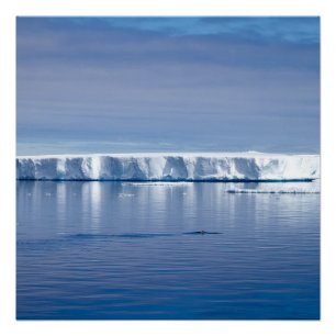 Poster Floating iceberg