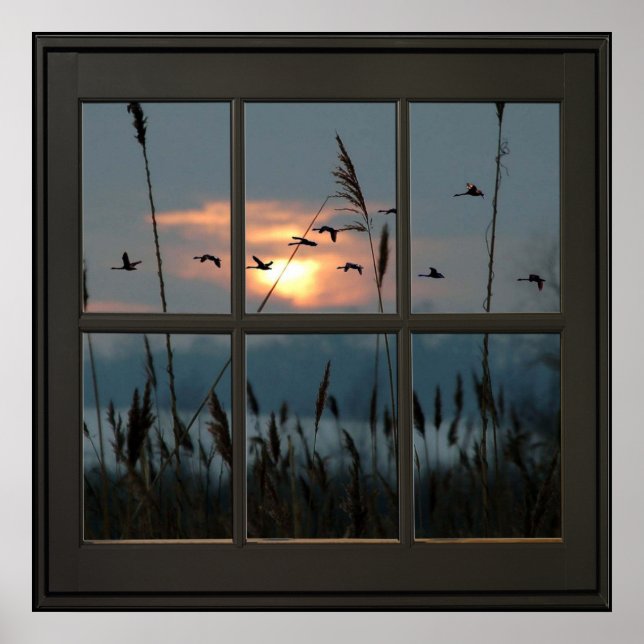 Poster Flock of Birds Faux Window Illusion 24x24 Noir (Devant)