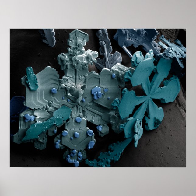 Poster Flocon de neige (Devant)