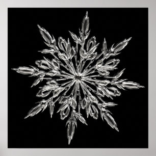 Poster Flocon de neige en cristal