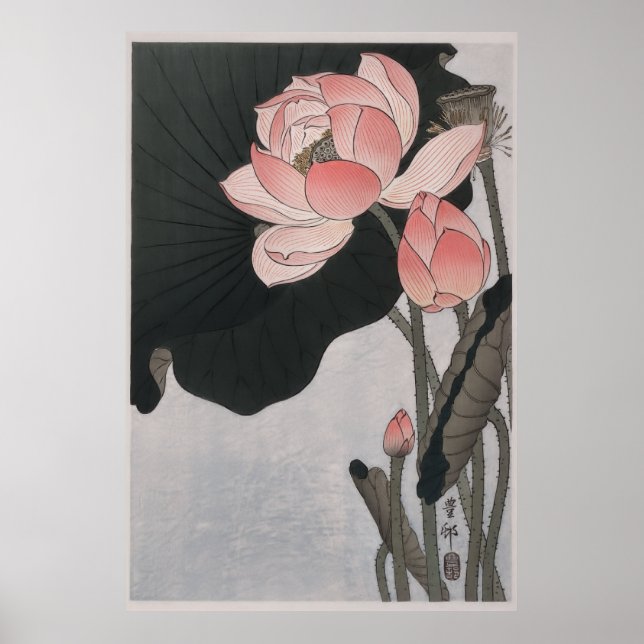 Poster Floraison de fleurs de lotus (1920 - 1930) (Devant)