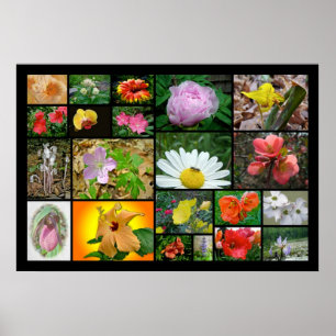 Poster Floral Collage #2