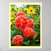 Floral dahlias rouge