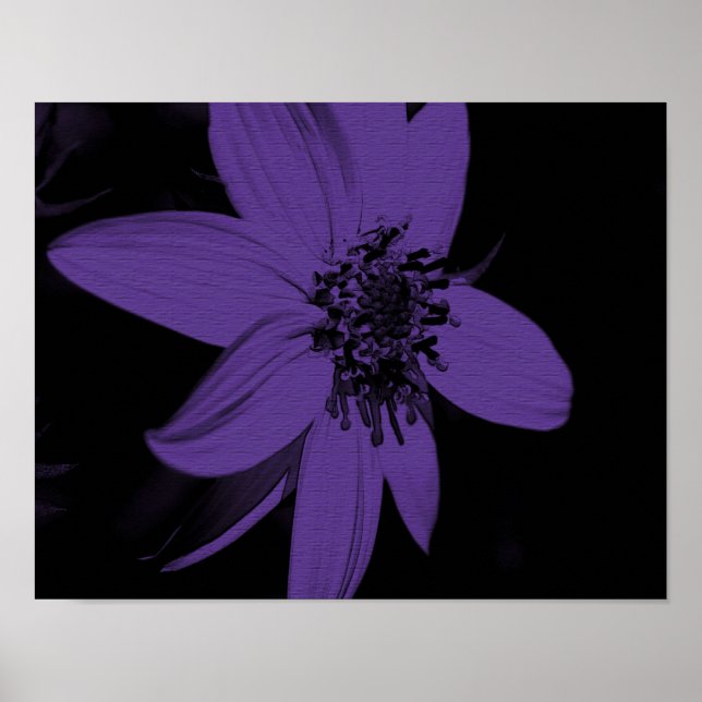 Poster Floral de tournesol violet Abstrait (Devant)