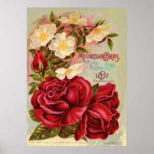 Poster Floral Gem 1897 Roses Publicité Vintage sur les fl