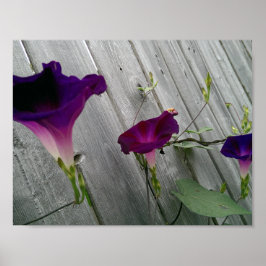 Poster floral (Matte)