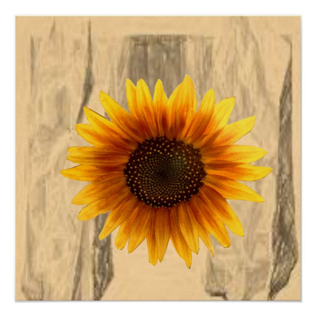 Poster floral Tournesol (Devant)