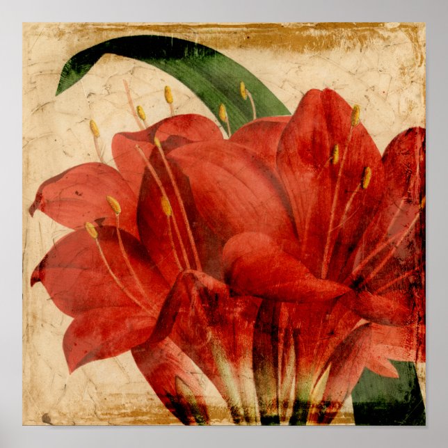 Poster Floral vibrant VIII (Devant)