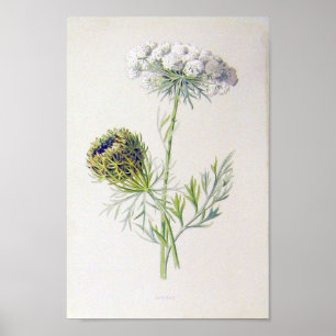 Poster Floral vintage