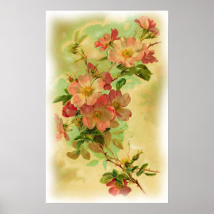 Poster Floral vintage