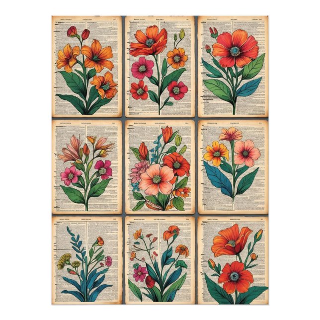 Poster Floral Vintage Livre du dictionnaire d'âge  (Devant)