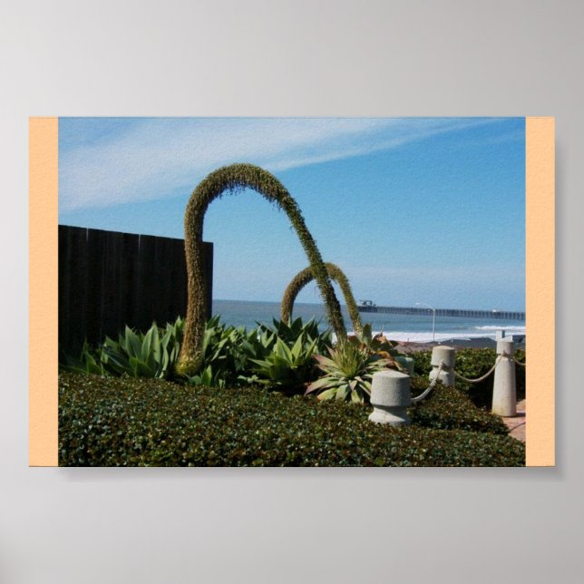 Poster Floral Wonders (Devant)