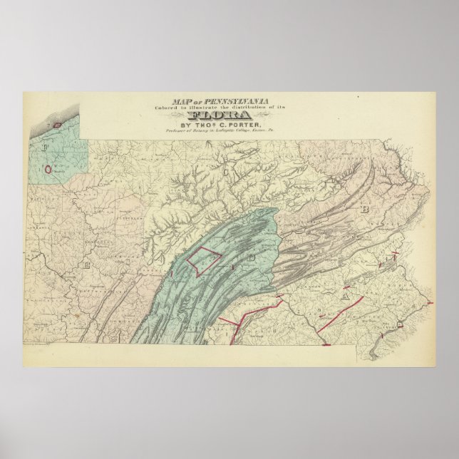 Poster Flore de Penn (Devant)