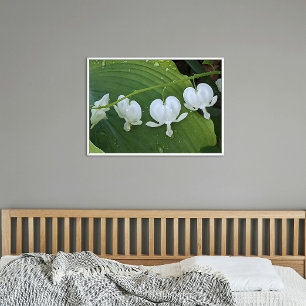 Poster Flore du coeur blanc saignant