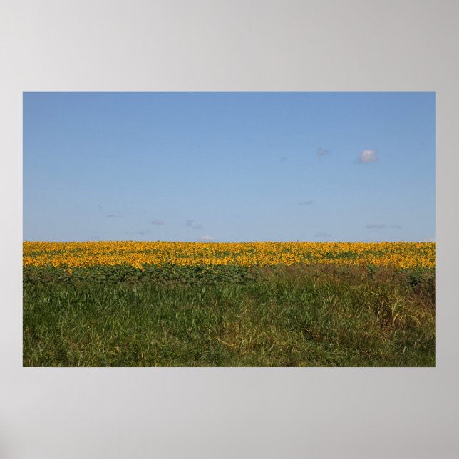 Poster Flore floral (Devant)