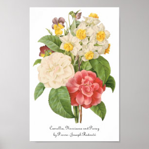 Poster Flore Vintage de Camelia Daffodil Flowers par Redo