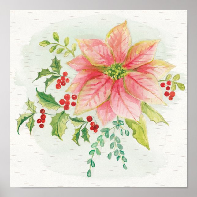 Poster Flores hivernales | Poinsettia rose (Devant)