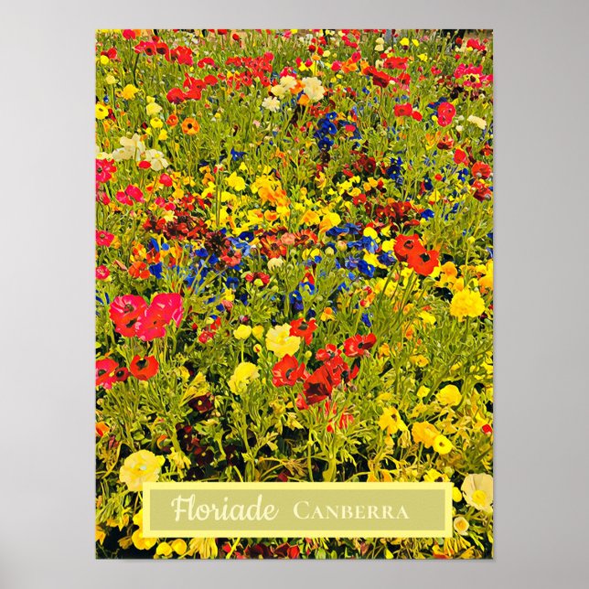 Poster Floriade Canberra festival de fleurs imprimé voyag (Devant)