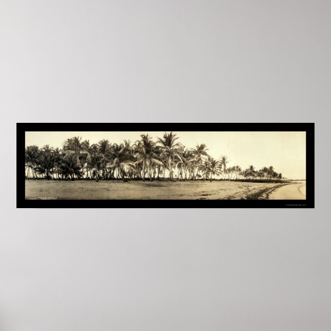 Poster Florida Keys Fishing Photo 1912 (Devant)