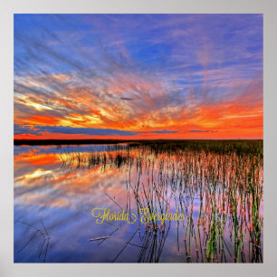Poster Floride Everglades, panorama pittoresque,