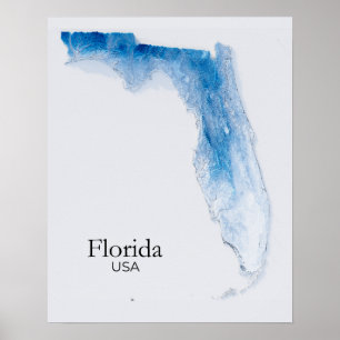 Poster Floride Relief Map Bleu Texture
