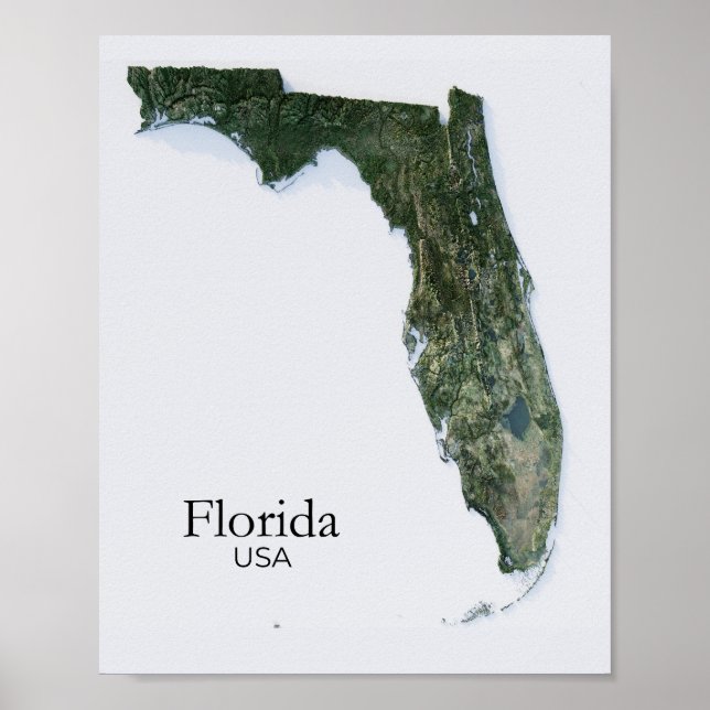 Poster Floride Relief Map Nature Texture (Devant)