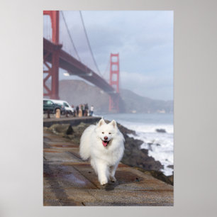 Poster Flottant par Golden Gate Bridge