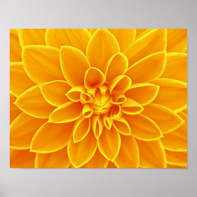 Poster flower-663650 ÉTÉ CLAIR ORANGE FLEURS JAUNES (Devant)