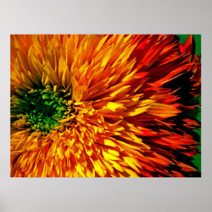 Poster Flower Fireworks
