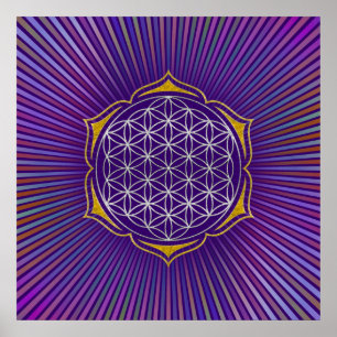 Poster Flower Of Life - Lotus or argent